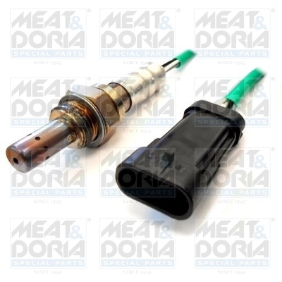 Oxygen Sensor